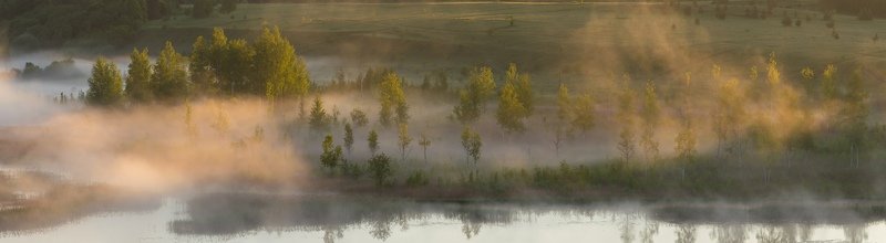 утро, изборск, туман, природа, озеро Утро... фото превью