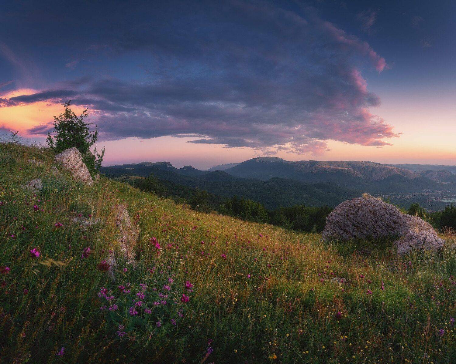 , Oleg Feofanov
