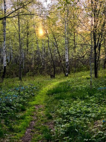 Предгрозовой закат