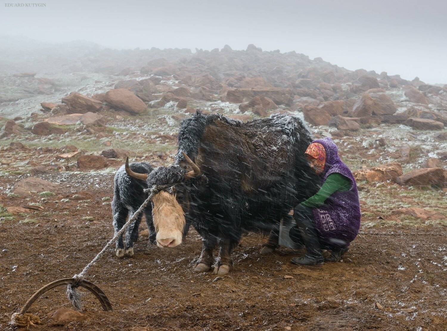 #Кызыл_арт #Кызыларт #Киргизия #Pamir #Памирский_тракт #Памирский #Памир #Таджикистан #Kutygin #Кутыгин #снег #Алайская #Залайский #Маркансу, Кутыгин Эдуард