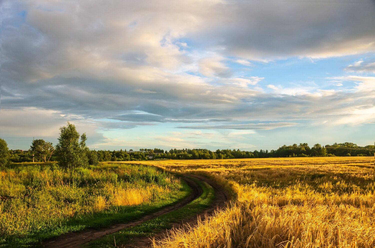 nevant60, пейзаж, красота, природа, Александр Березуцкий