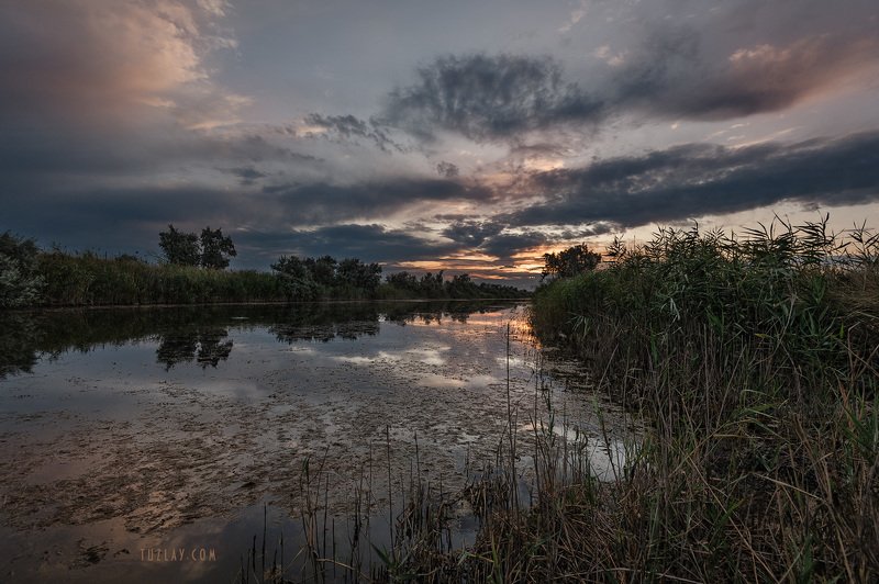 земля таманская, таманский полуостров, вечер, камыши, водоём Кто о чём, а я всё о камышах... фото превью