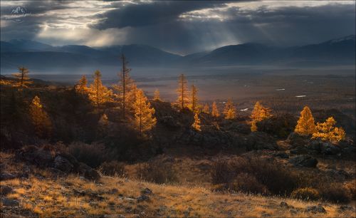 Одним осенним утром ..