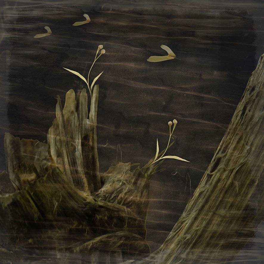 , T. Bondarenko