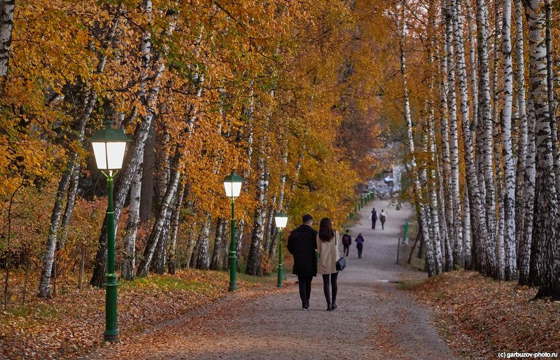 Осень в Ясной Поляне фото превью
