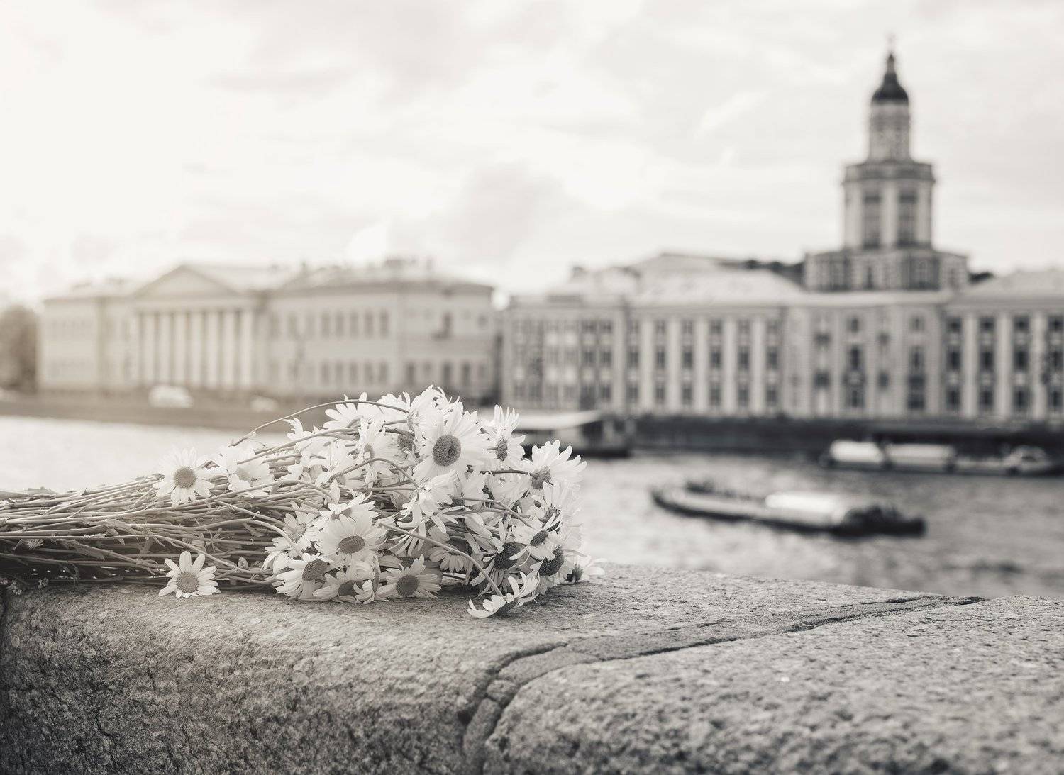 city, summer,  flowers, day, street, nikon, Вавилова Елизавета