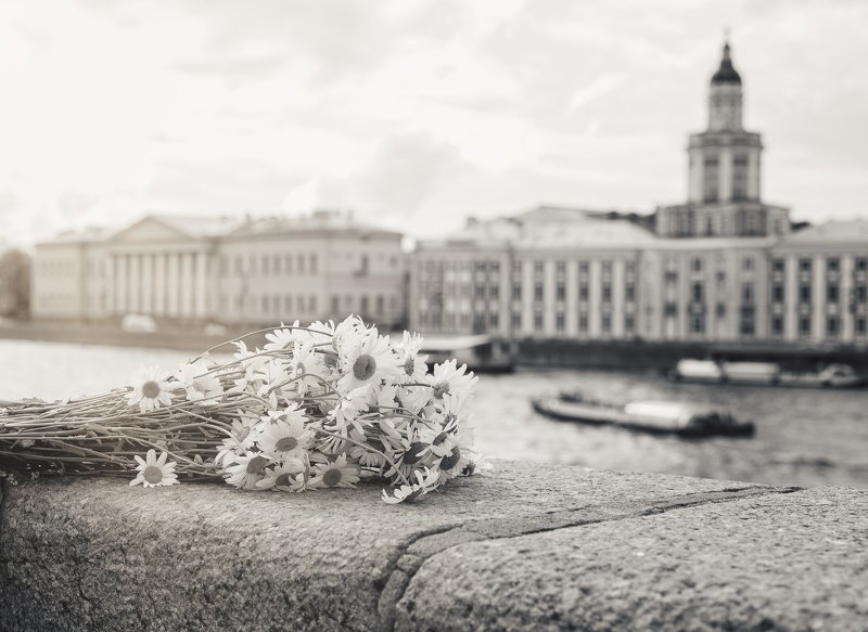 city, summer,  flowers, day, street, nikon Summer day of the big city фото превью