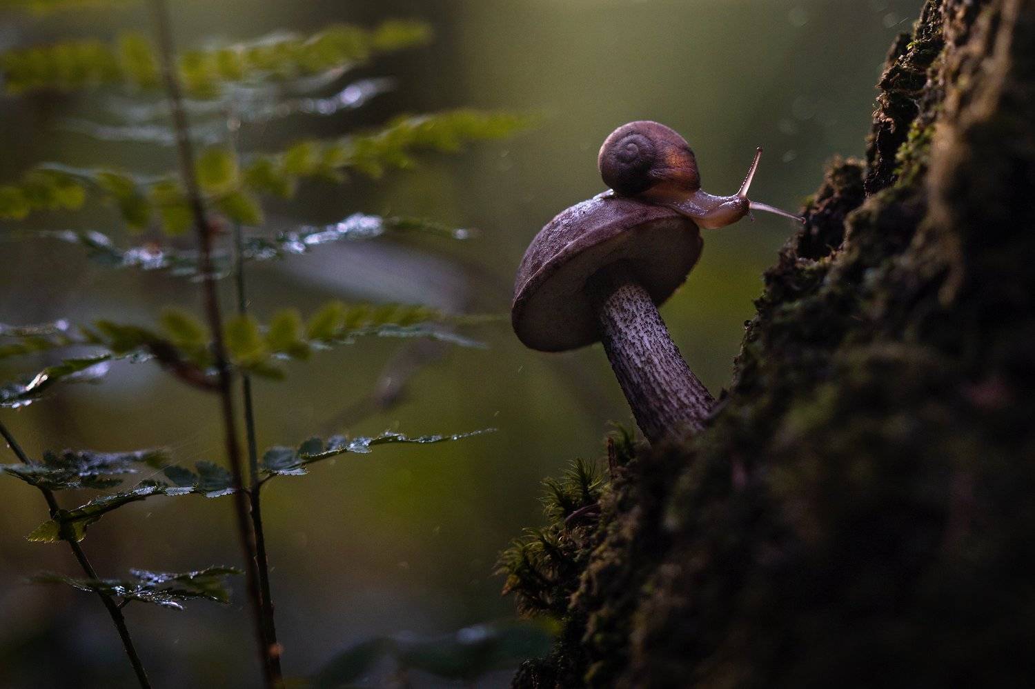 , Людмила Гудина