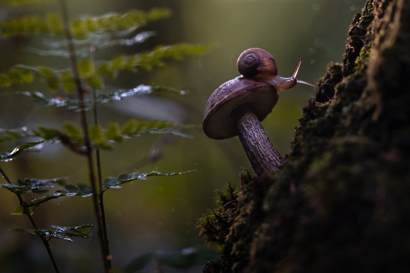 Вечер фото превью