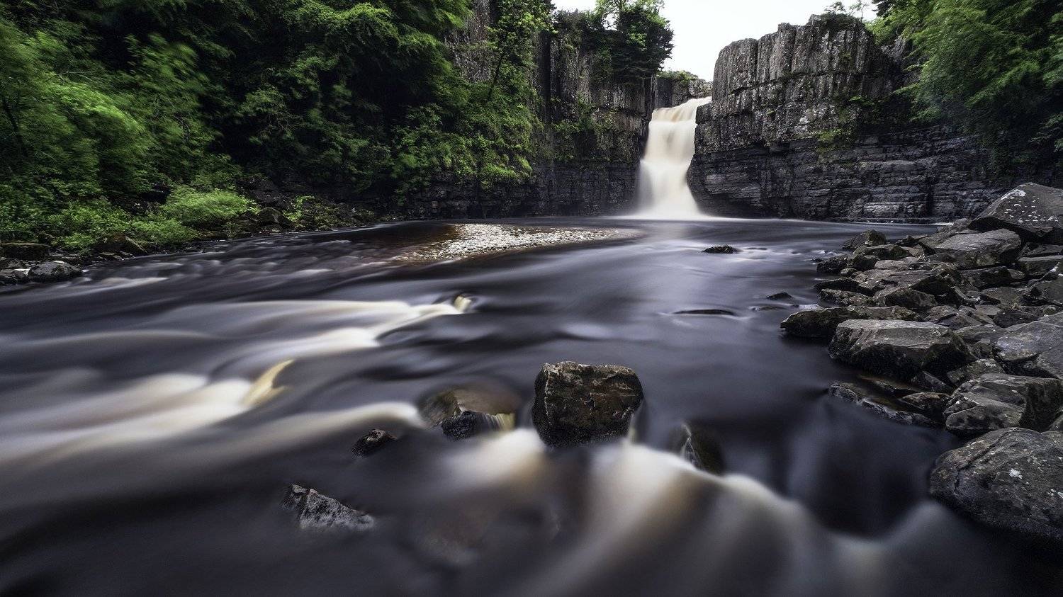 , Данила Алишев