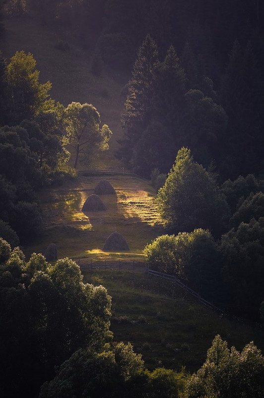 Яблуниця.Карпати. фото превью