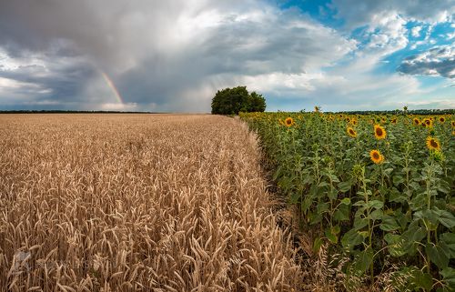 Лето Ставропольское