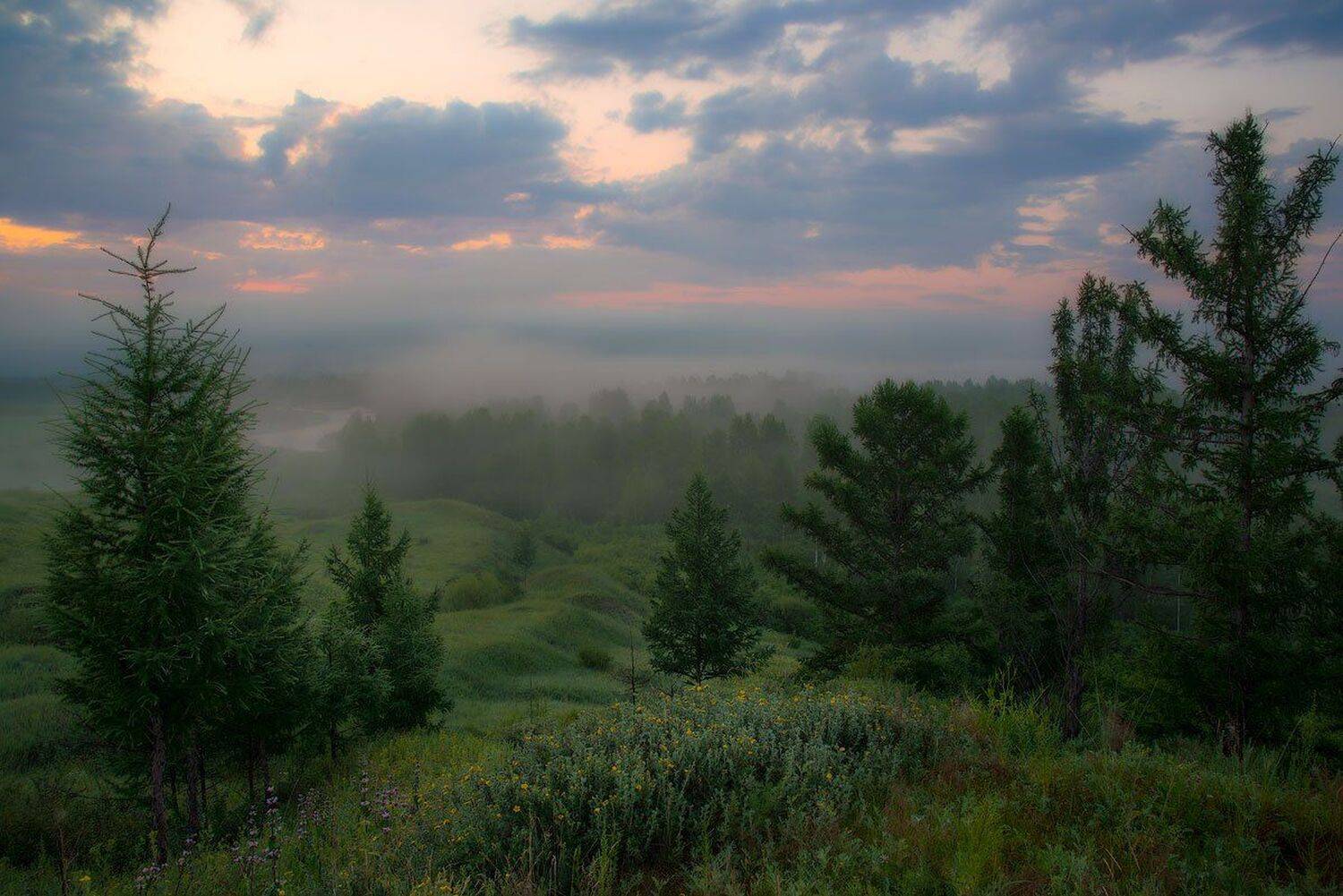, Сергей Брагин