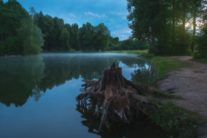 россия, подмосковье, московская область, середниково, усадьба, пейзаж, природа, закат, сумерки, вечер, озеро, пруд, туман, лето Подмосковный вечер фото превью