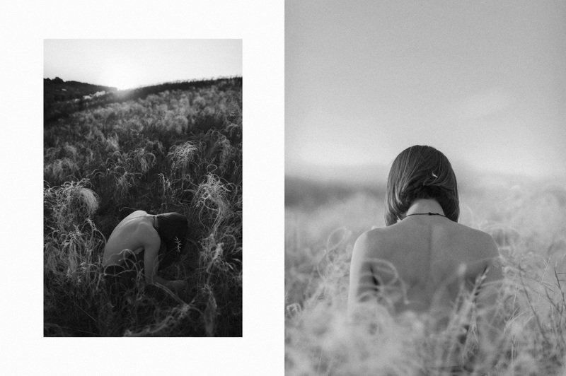 Цветущий ковыль фото превью