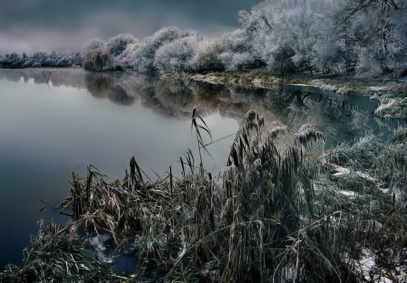 Заиневевшая и хмурейшая ноябрина... фото превью