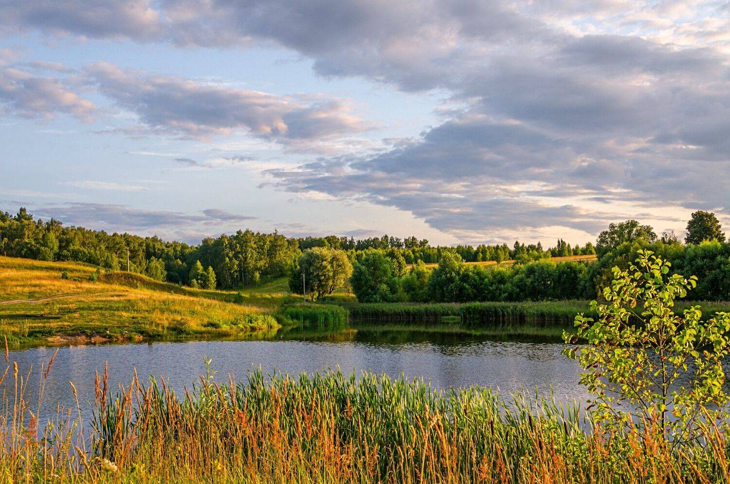 nevant60, пейзаж, красота, природа, Александр Березуцкий