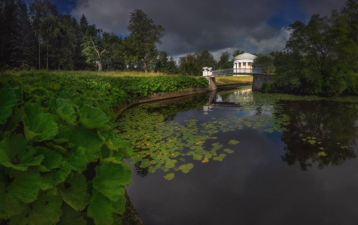 питер, павловск, утро, лето, павловский парк, санкт-петербург, пейзаж, landscape, Таня SHE (Aiya)