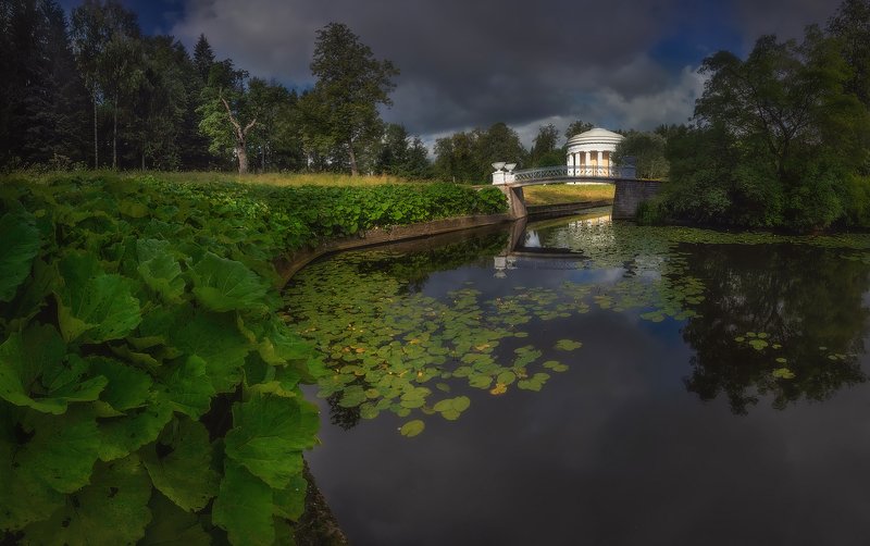 питер, павловск, утро, лето, павловский парк, санкт-петербург, пейзаж, landscape Летом:) фото превью