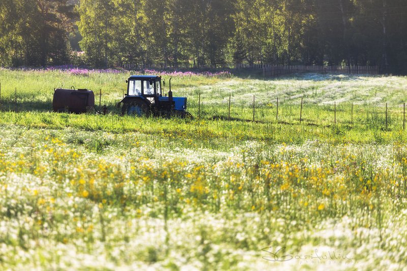 Урал, Средний Урал, трактор, пейзаж, лето, деревня жаркий летний день в деревне фото превью