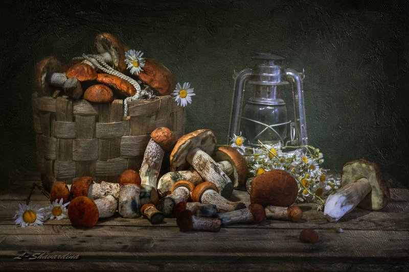 Белый и боровики фото превью