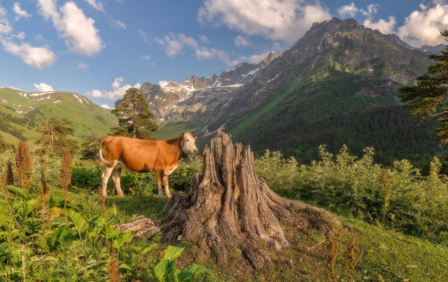 , Alexander Plekhanov