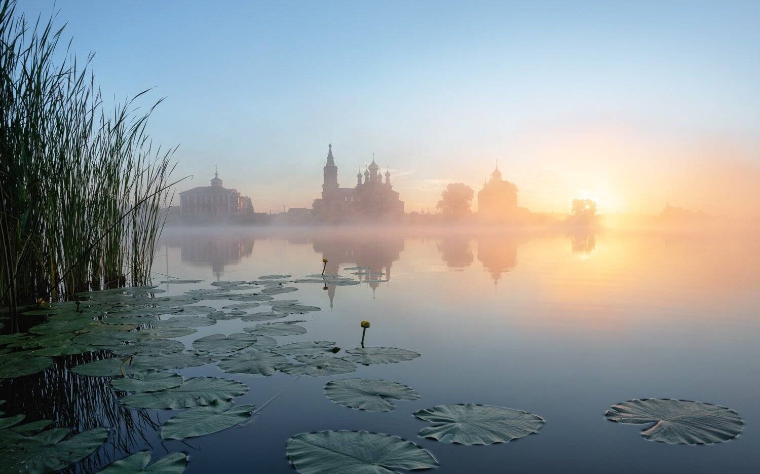 , Александр Бредихин