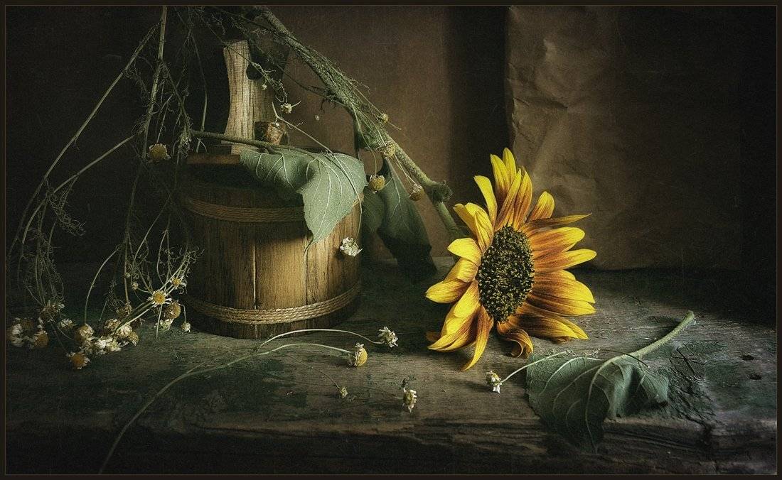 , Александр Хромеев