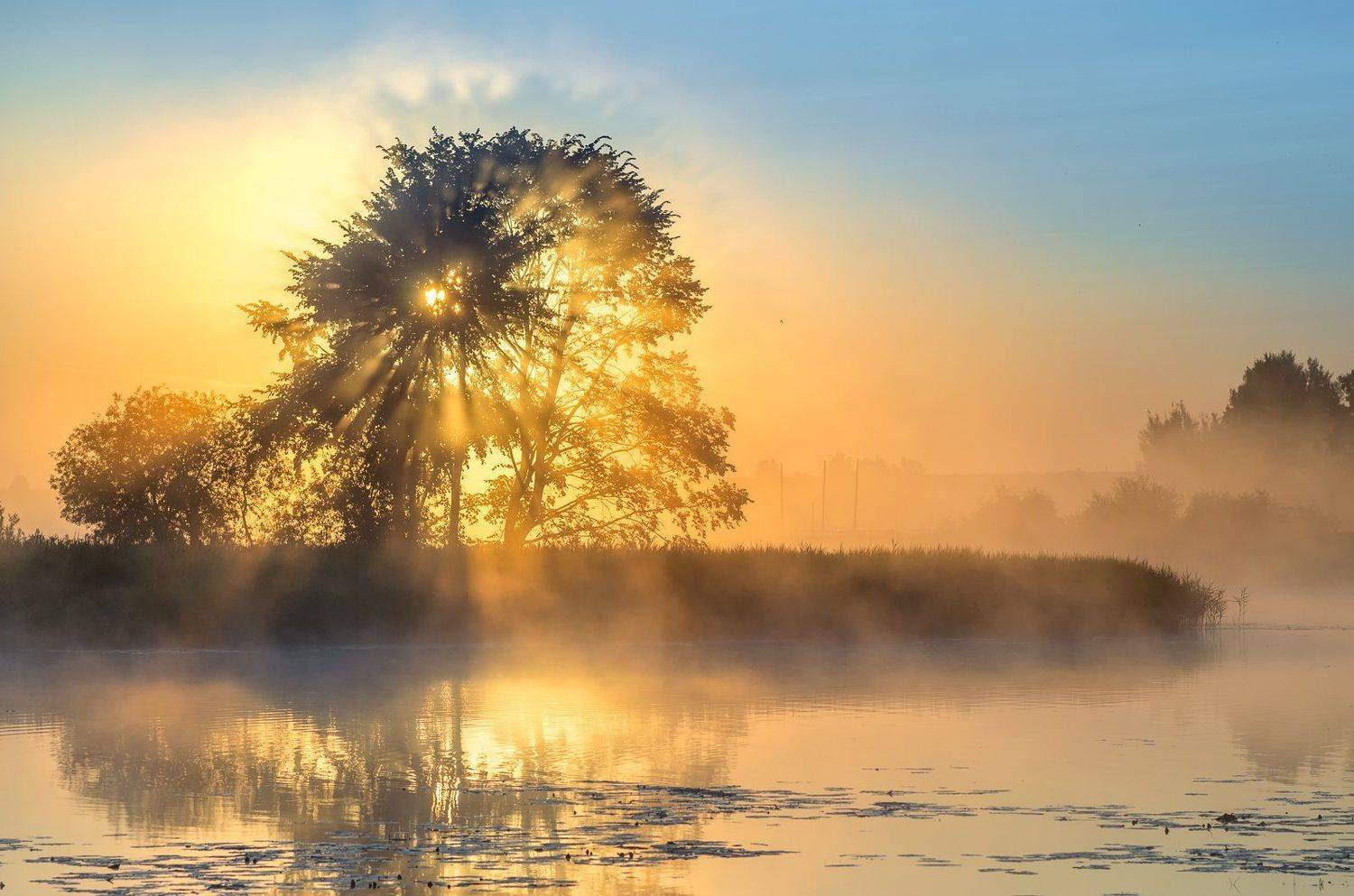 , Руслан Авдевич