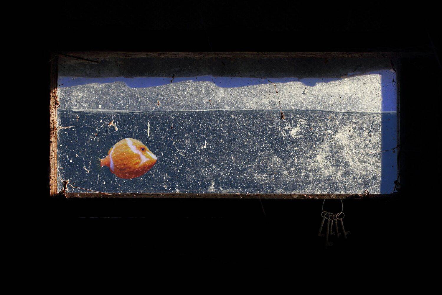 креатив, обработка, концепция, вода, окно, concept, nightmare, water, window, home, Дмитрий Салтыков