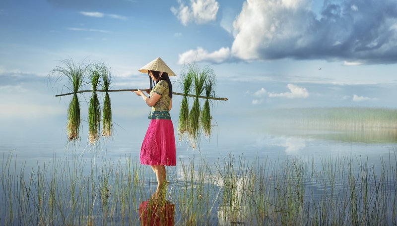 девушка, женский портрет, сборщица риса, поле, вода, вьетнам, азия, трава, шляпа, небо, трава, жанр, постановка Сборщица риса фото превью