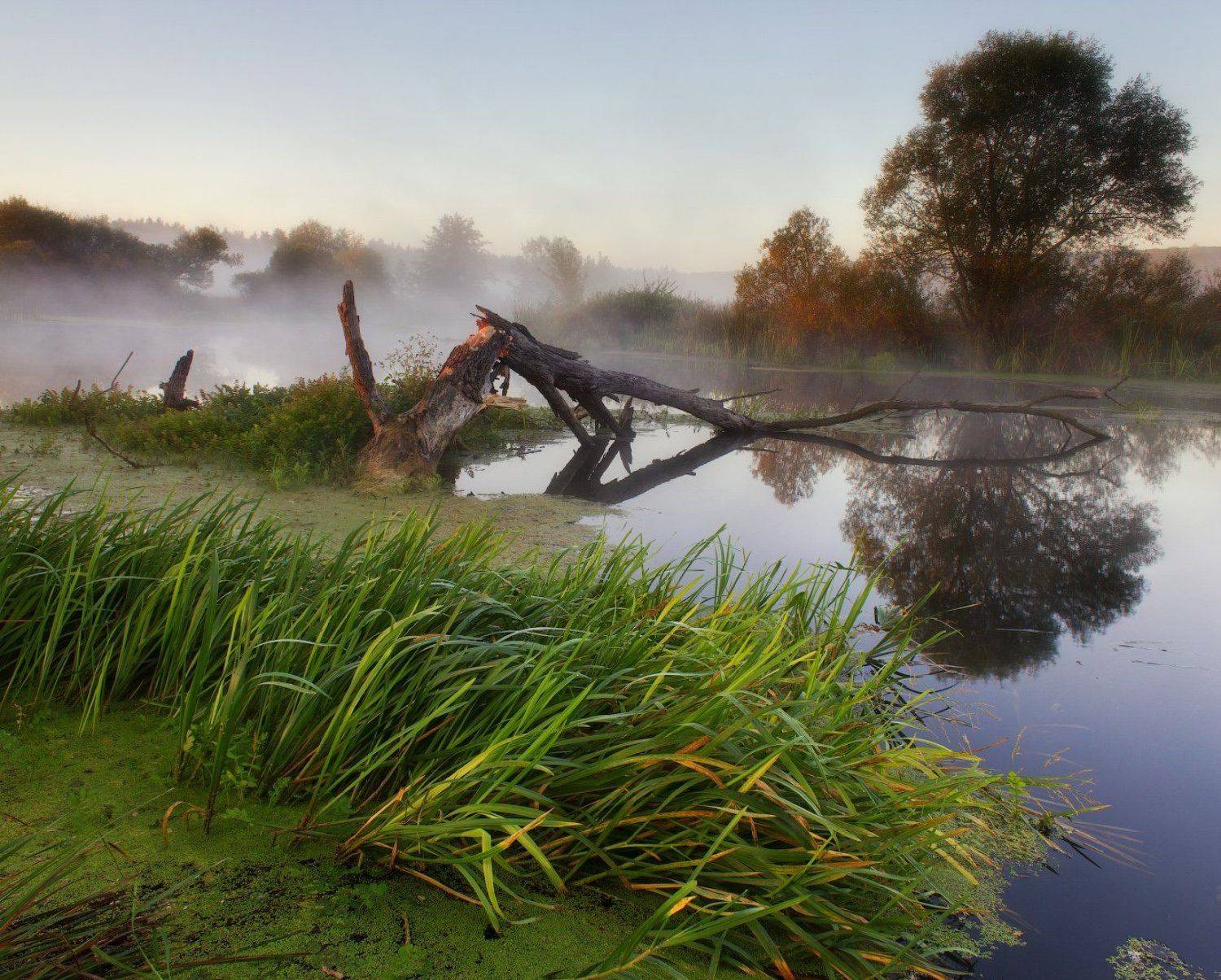 река, туман, пезаж, волчья, утро, Виктор Тулбанов