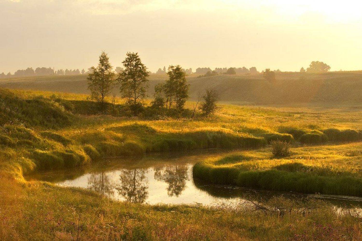 , Кокорев Илья