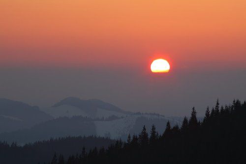 Рассвет обыкновенный