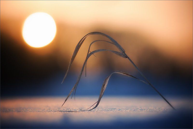 Магия заката фото превью