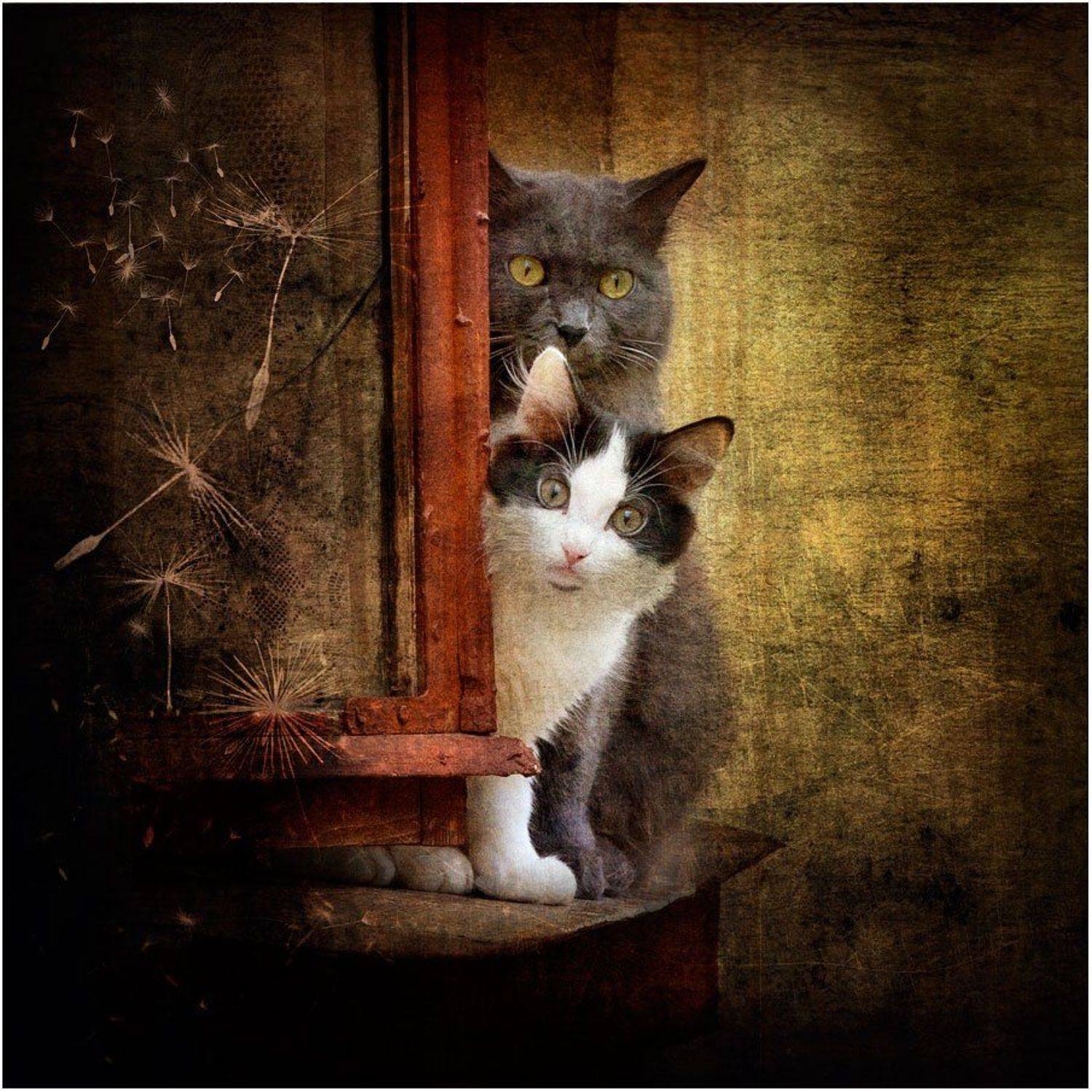 , Олег Астахов