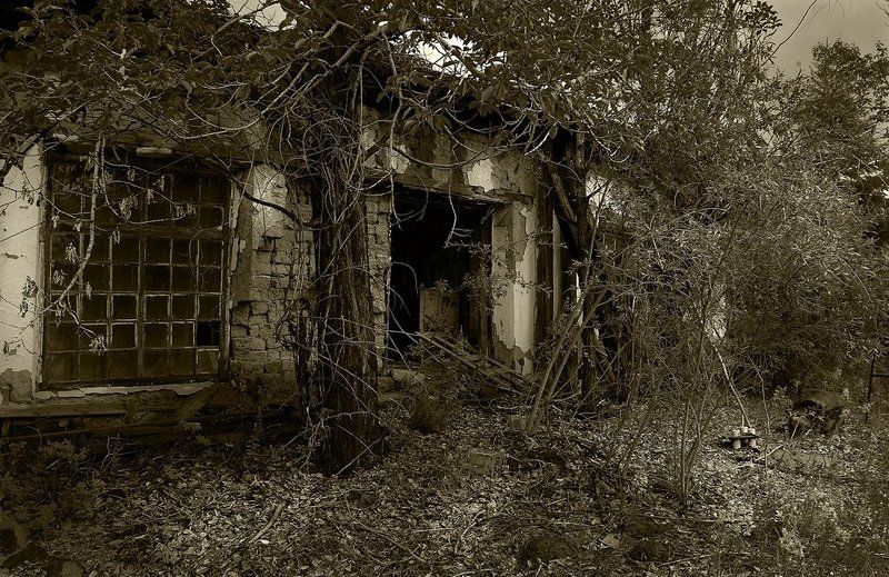 пос.адыгалах Адыгалах 2009, продолжение фото превью