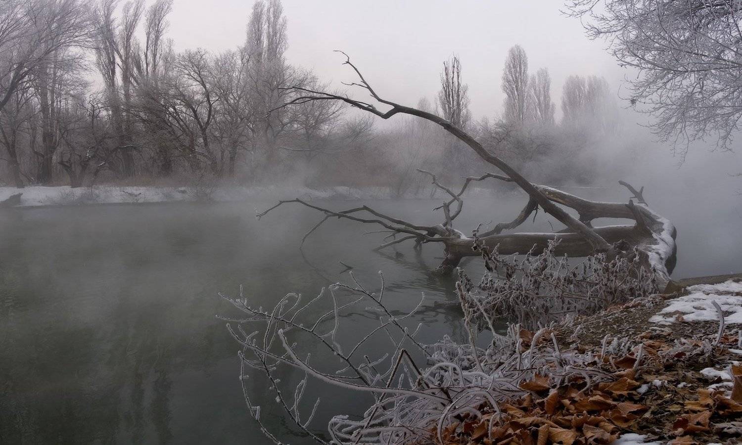 город, парк, зима река кубань, ФЁДОР