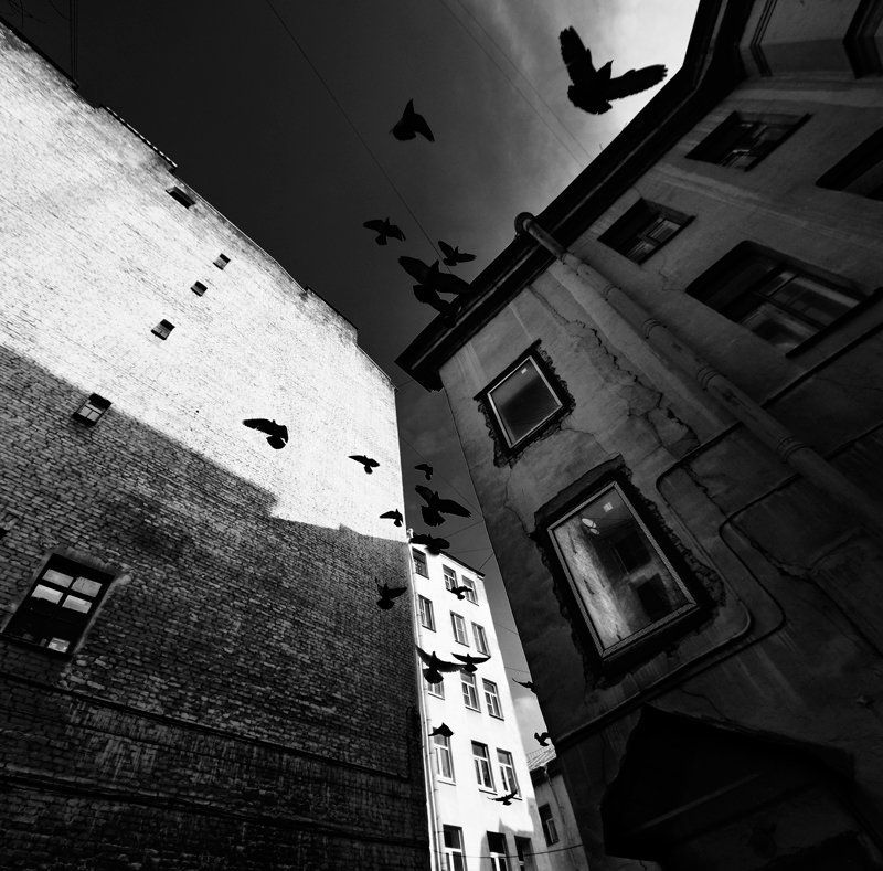 ... фото превью