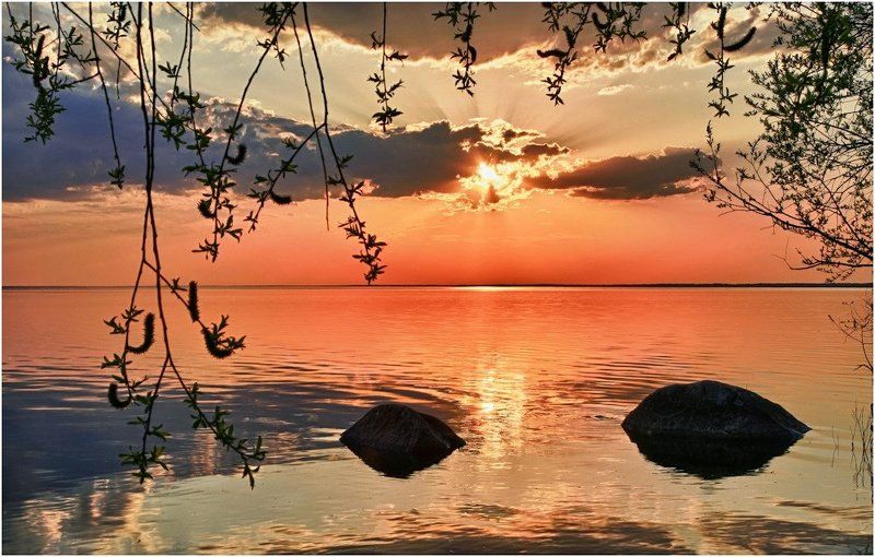 чудское, озеро, закат, камни *** фото превью