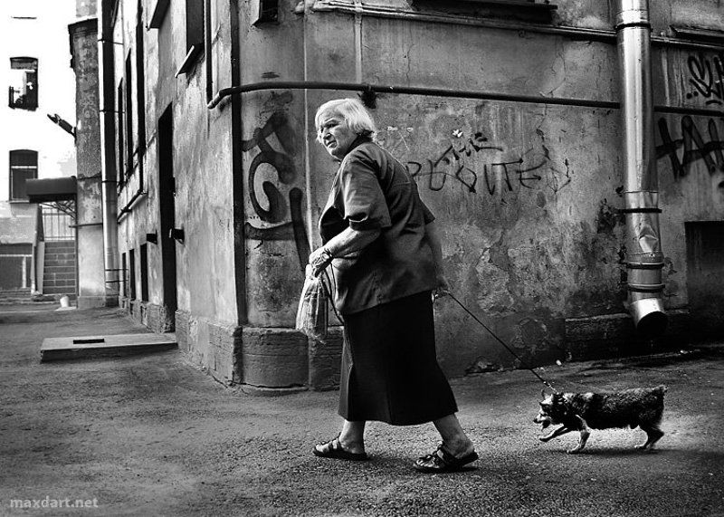 * * * фото превью