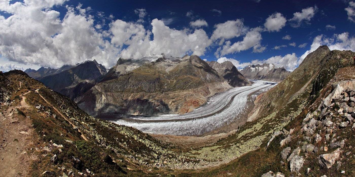 swiss, Матвеев Николай