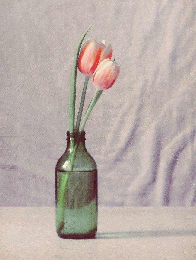 натюрморт,тюльпаны, Юлия Володина