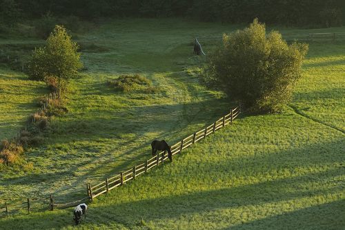 **осенним утром за селом**