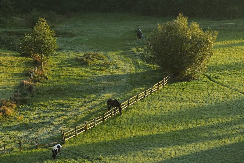 **осенним утром за селом** фото превью
