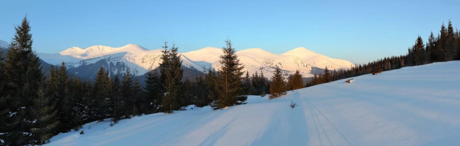 карпаты, горы, говерла, Михаил Псарёв