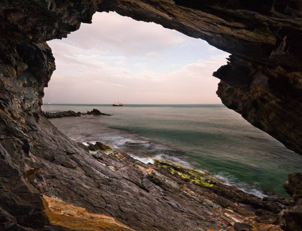 , Николай Мысливцев