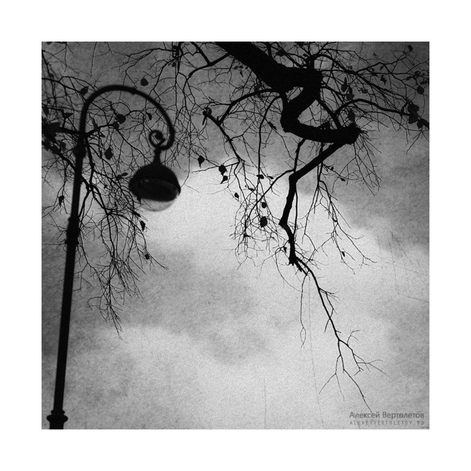 , Алексей Вертолетов