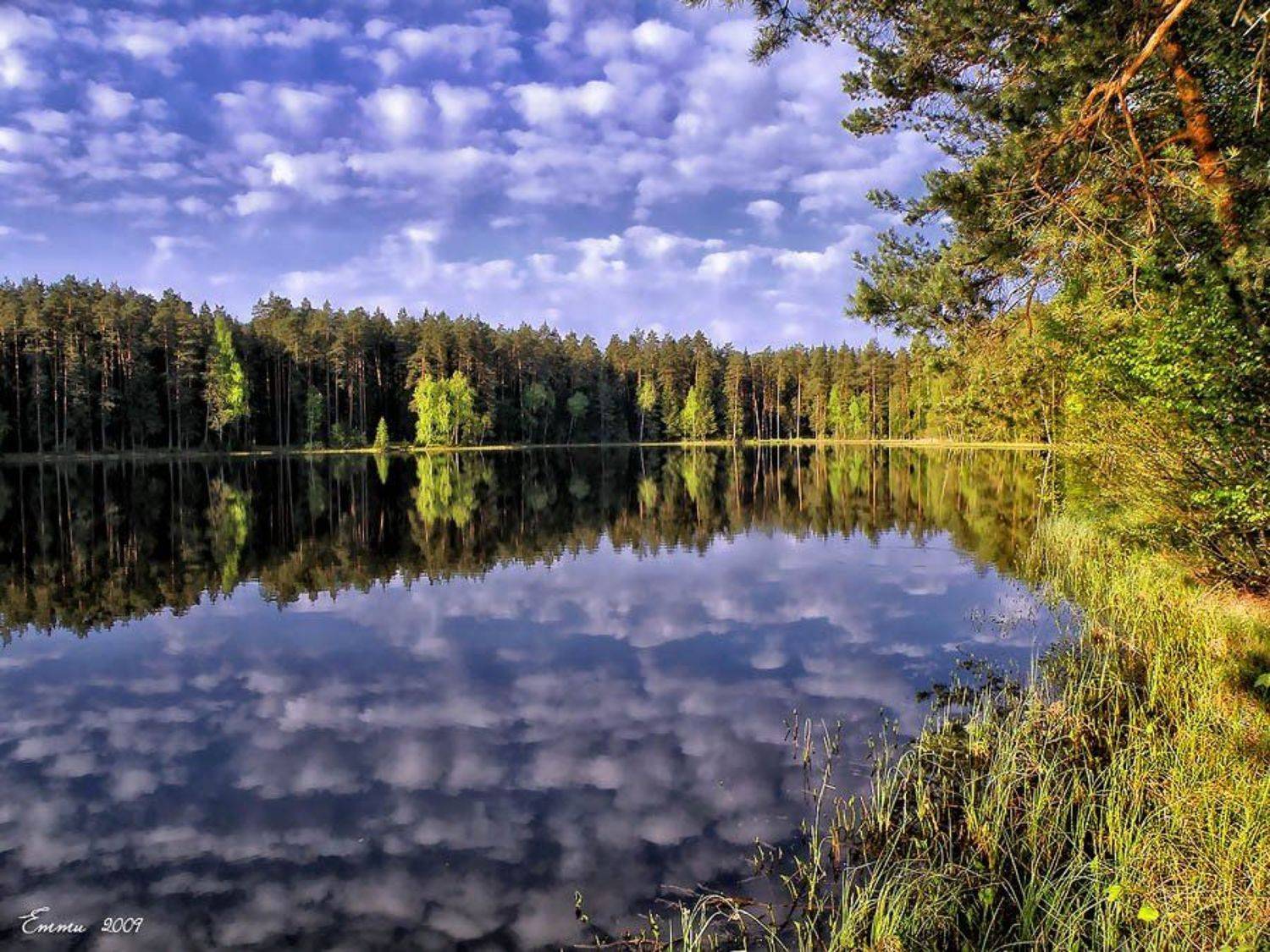 природа, утро, озеро, весна, тишина, подмосковье, етти