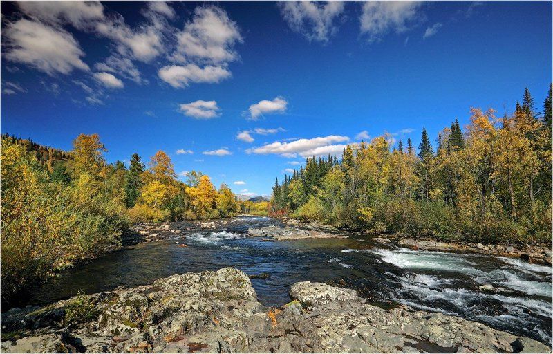 поднебесные, зубья  фото превью